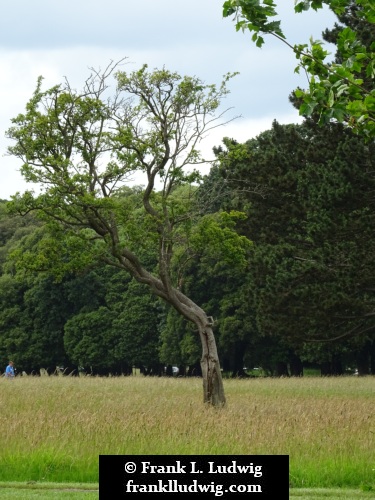 Phoenix Park, Dublin